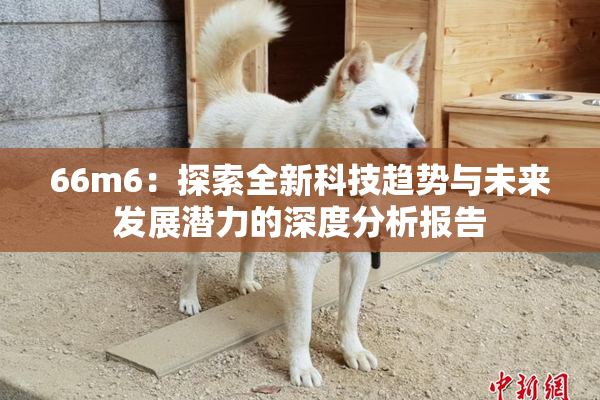 66m6：探索全新科技趋势与未来发展潜力的深度分析报告