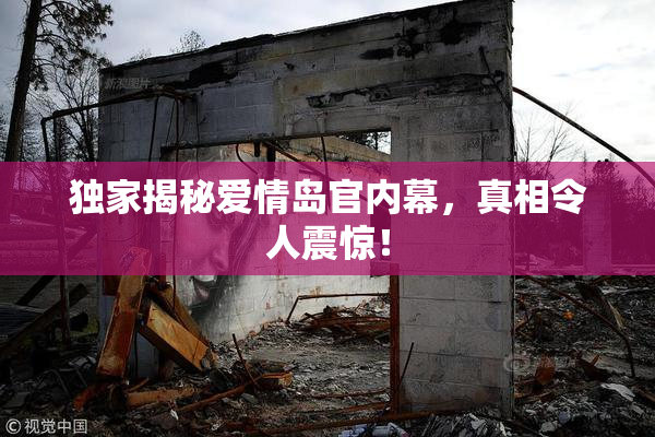 独家揭秘爱情岛官内幕，真相令人震惊！