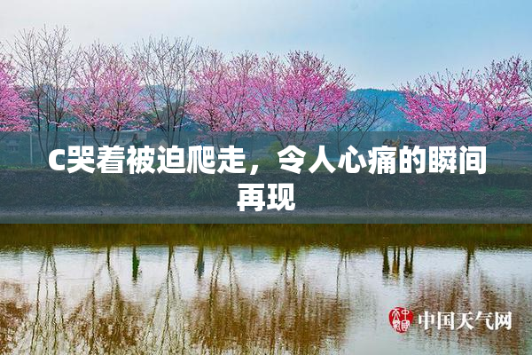 C哭着被迫爬走，令人心痛的瞬间再现