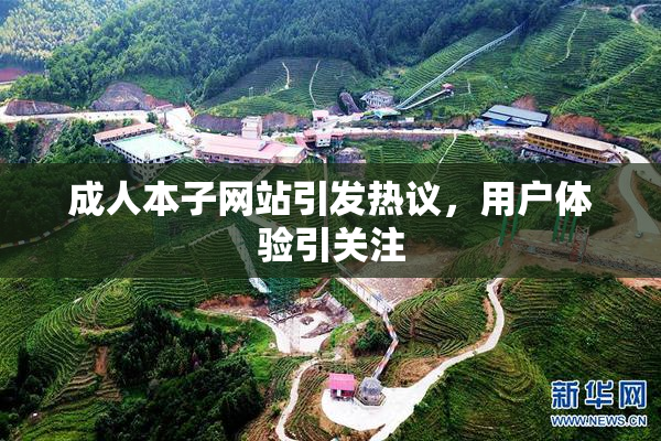 成人本子网站引发热议，用户体验引关注