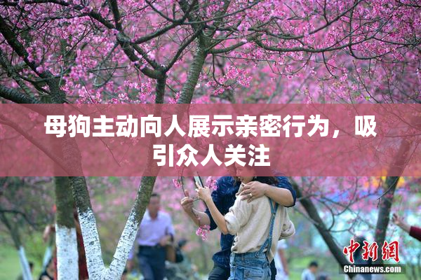 母狗主动向人展示亲密行为，吸引众人关注