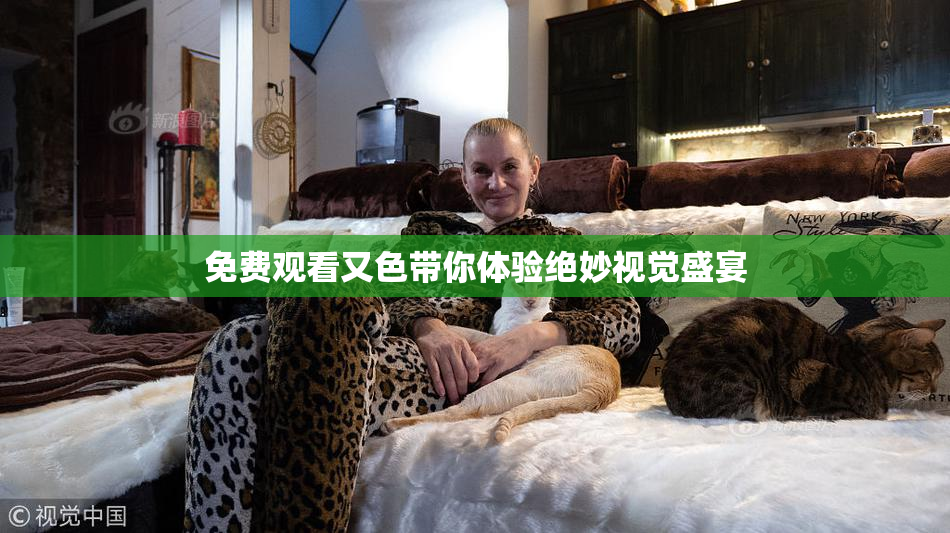 免费观看又色带你体验绝妙视觉盛宴