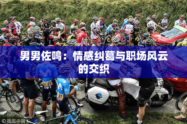 男男佐鸣：情感纠葛与职场风云的交织
