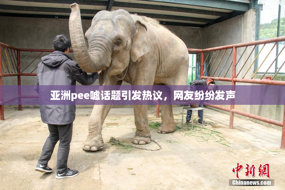 亚洲pee嘘话题引发热议，网友纷纷发声