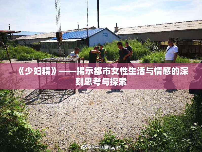 《少妇精》——揭示都市女性生活与情感的深刻思考与探索