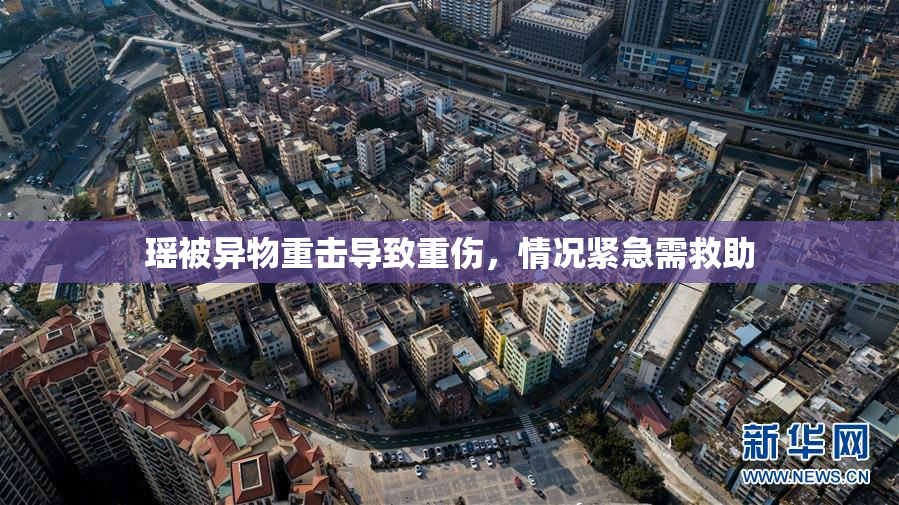 瑶被异物重击导致重伤，情况紧急需救助