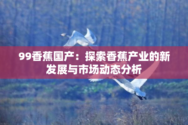 99香蕉国产：探索香蕉产业的新发展与市场动态分析