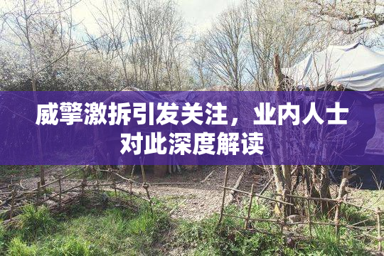 威擎激拆引发关注，业内人士对此深度解读