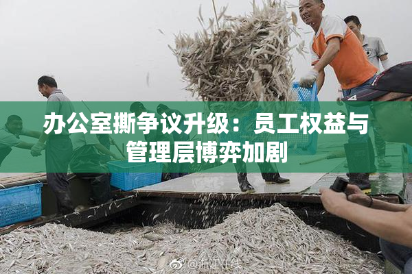 办公室撕争议升级：员工权益与管理层博弈加剧