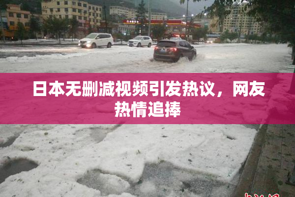 日本无删减视频引发热议，网友热情追捧