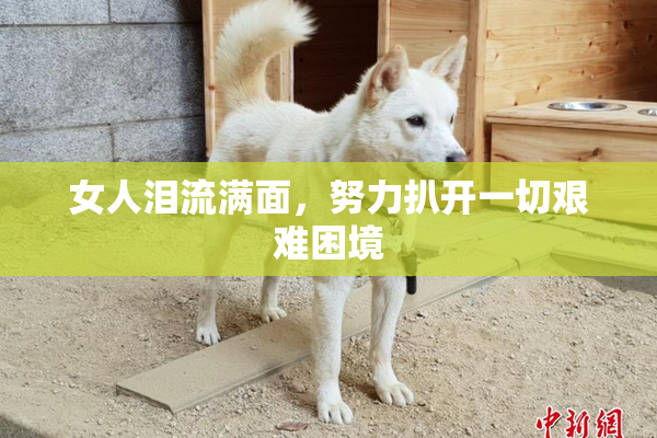 女人泪流满面，努力扒开一切艰难困境