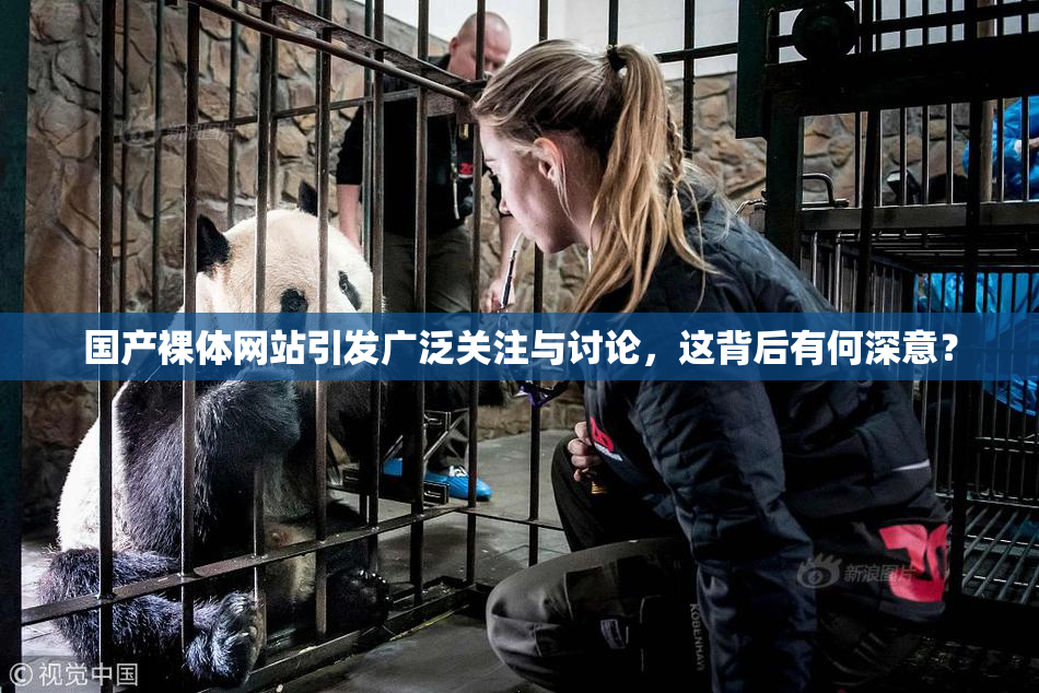 国产裸体网站引发广泛关注与讨论，这背后有何深意？