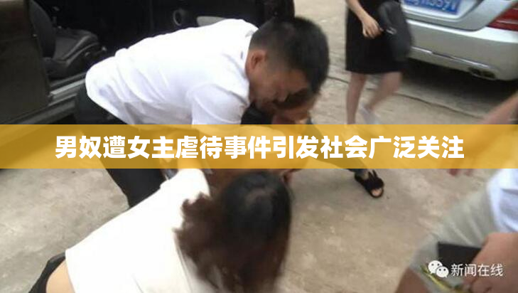 男奴遭女主虐待事件引发社会广泛关注