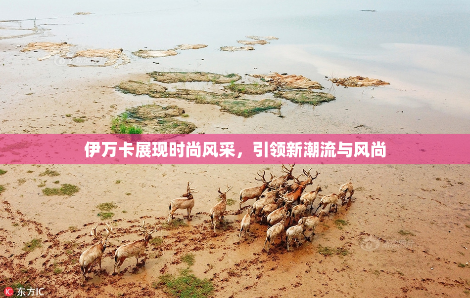 伊万卡展现时尚风采，引领新潮流与风尚