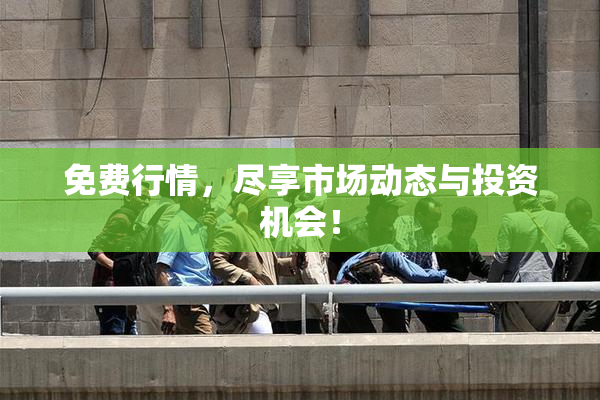 免费行情，尽享市场动态与投资机会！