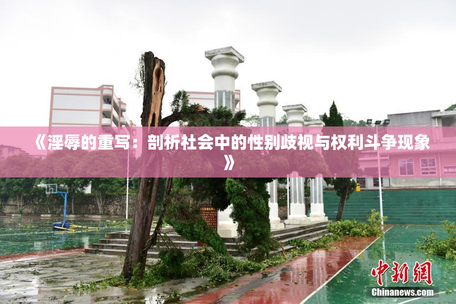 《淫辱的重写：剖析社会中的性别歧视与权利斗争现象》