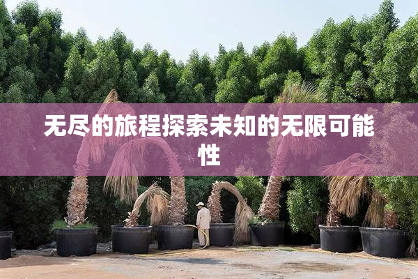 无尽的旅程探索未知的无限可能性