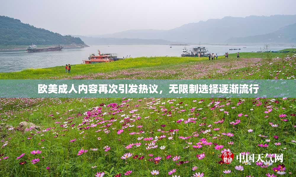 欧美成人内容再次引发热议，无限制选择逐渐流行