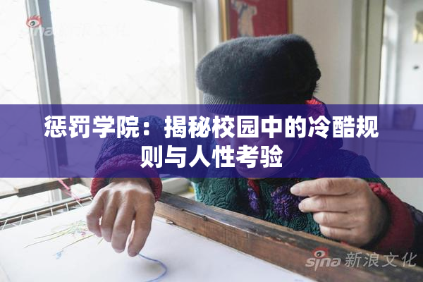 惩罚学院：揭秘校园中的冷酷规则与人性考验