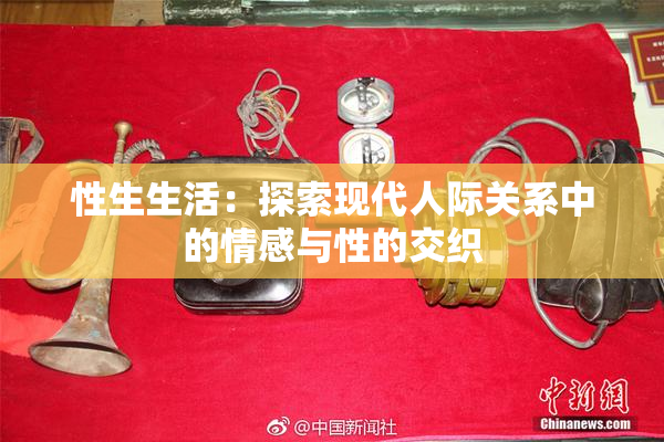 性生生活：探索现代人际关系中的情感与性的交织