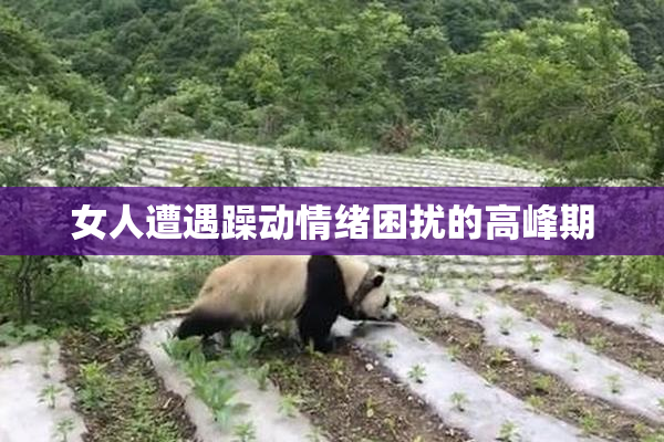 女人遭遇躁动情绪困扰的高峰期