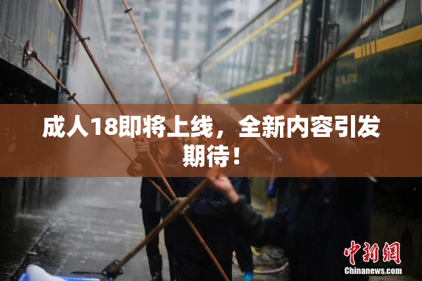 成人18即将上线，全新内容引发期待！