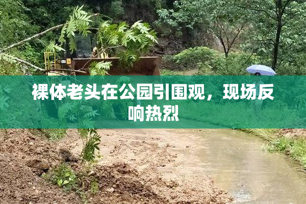 裸体老头在公园引围观，现场反响热烈
