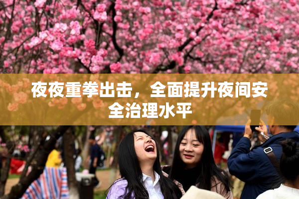 夜夜重拳出击，全面提升夜间安全治理水平
