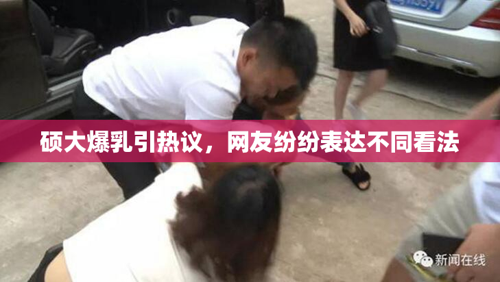 硕大爆乳引热议，网友纷纷表达不同看法