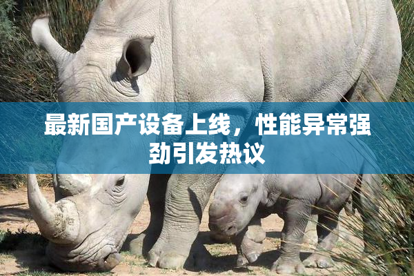 最新国产设备上线，性能异常强劲引发热议