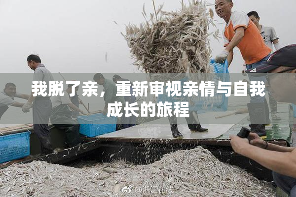 我脱了亲，重新审视亲情与自我成长的旅程