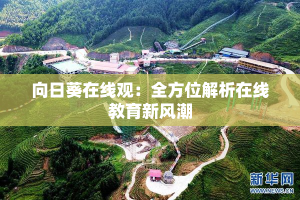 向日葵在线观：全方位解析在线教育新风潮