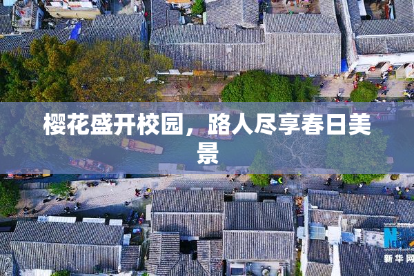 樱花盛开校园，路人尽享春日美景