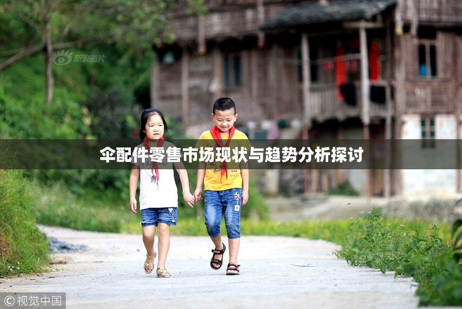 伞配件零售市场现状与趋势分析探讨
