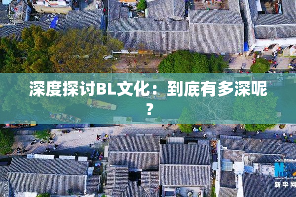 深度探讨BL文化：到底有多深呢？