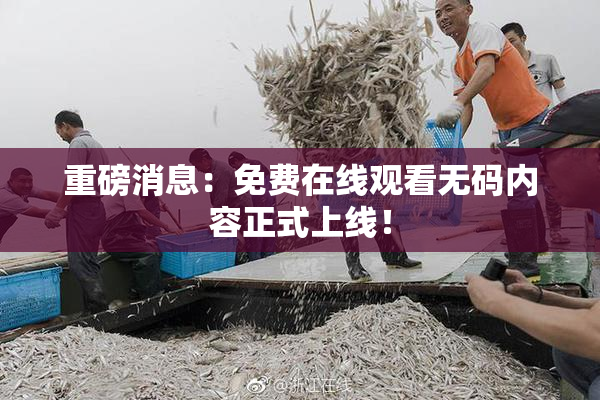 重磅消息：免费在线观看无码内容正式上线！