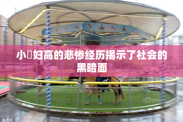 小婬妇高的悲惨经历揭示了社会的黑暗面