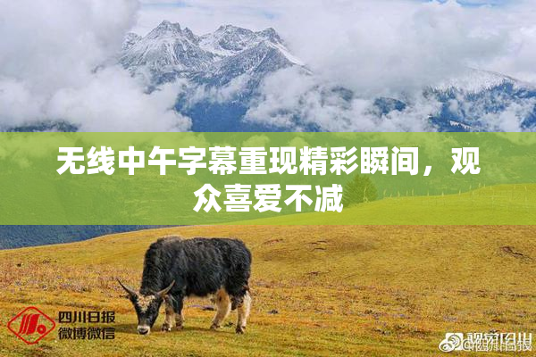无线中午字幕重现精彩瞬间，观众喜爱不减