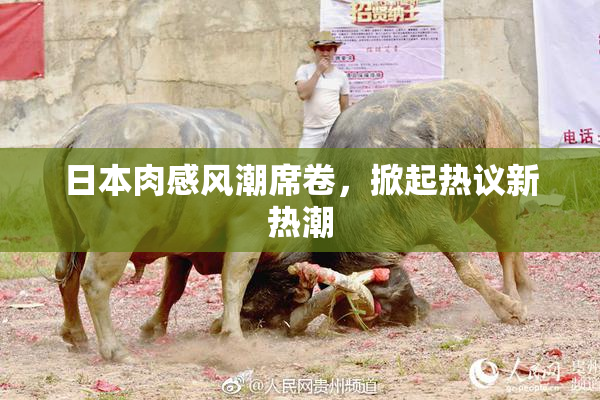 日本肉感风潮席卷，掀起热议新热潮