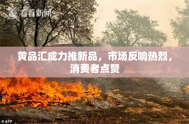 黄品汇成力推新品，市场反响热烈，消费者点赞