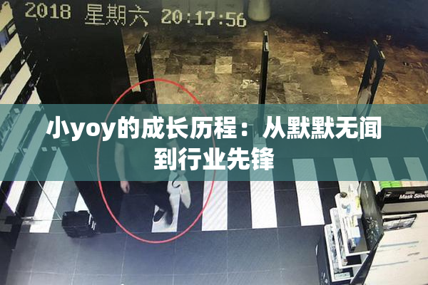 小yoy的成长历程：从默默无闻到行业先锋