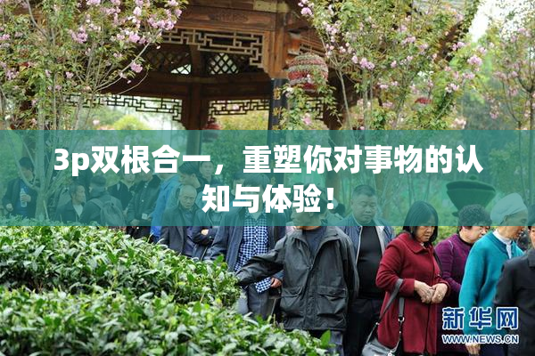 3p双根合一，重塑你对事物的认知与体验！