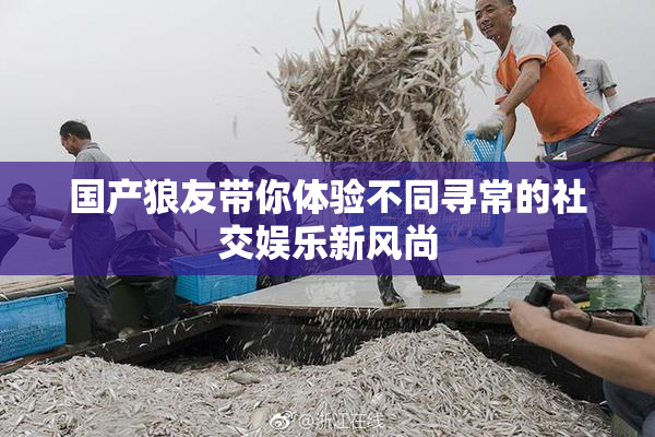 国产狼友带你体验不同寻常的社交娱乐新风尚