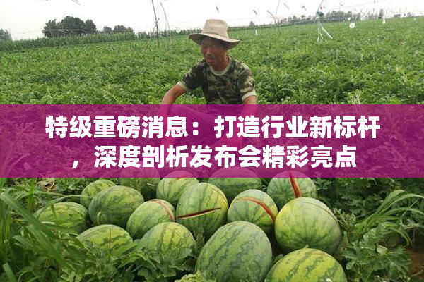 特级重磅消息：打造行业新标杆，深度剖析发布会精彩亮点