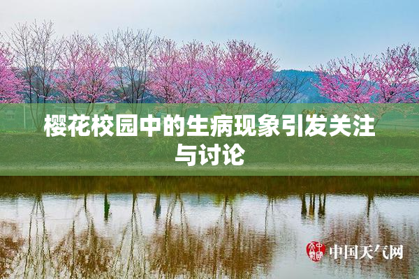 樱花校园中的生病现象引发关注与讨论