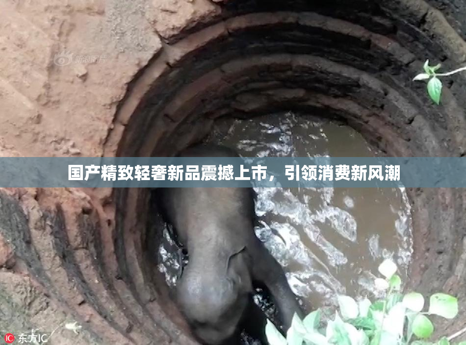 国产精致轻奢新品震撼上市，引领消费新风潮