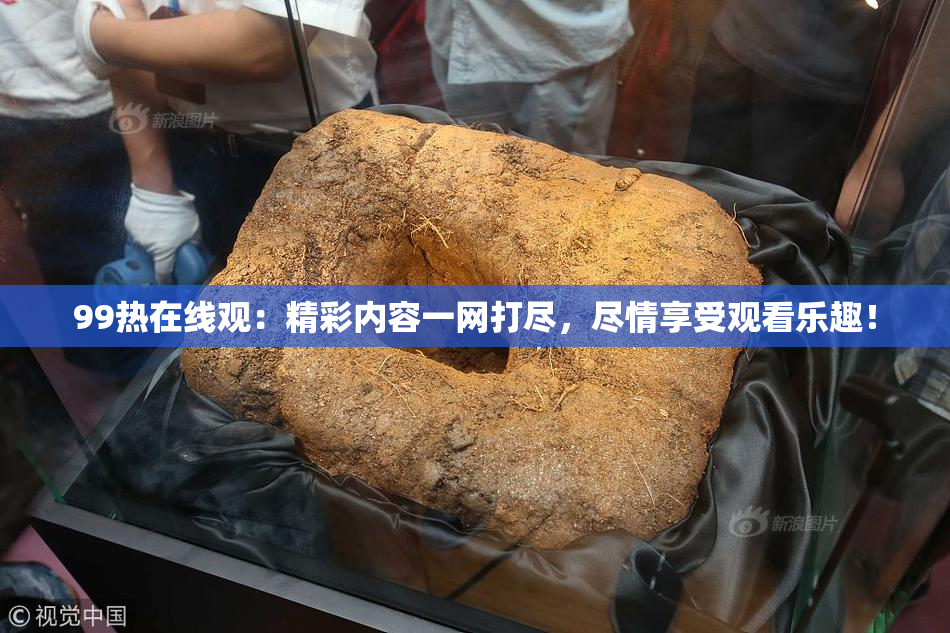 99热在线观：精彩内容一网打尽，尽情享受观看乐趣！