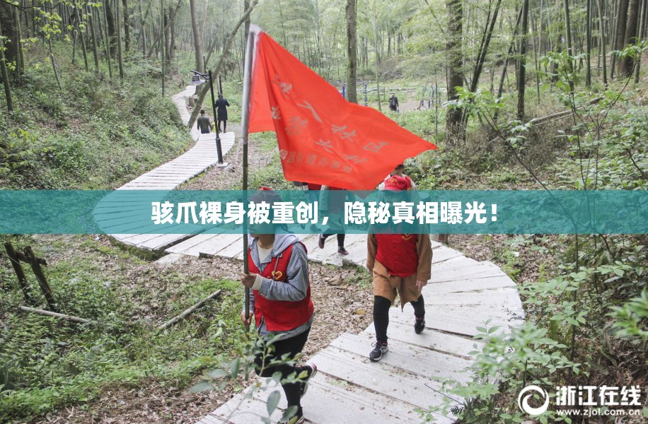 骇爪裸身被重创，隐秘真相曝光！