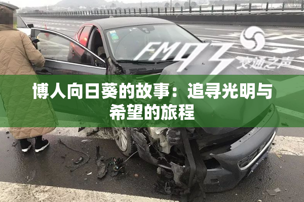 博人向日葵的故事：追寻光明与希望的旅程