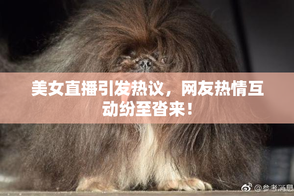 美女直播引发热议，网友热情互动纷至沓来！